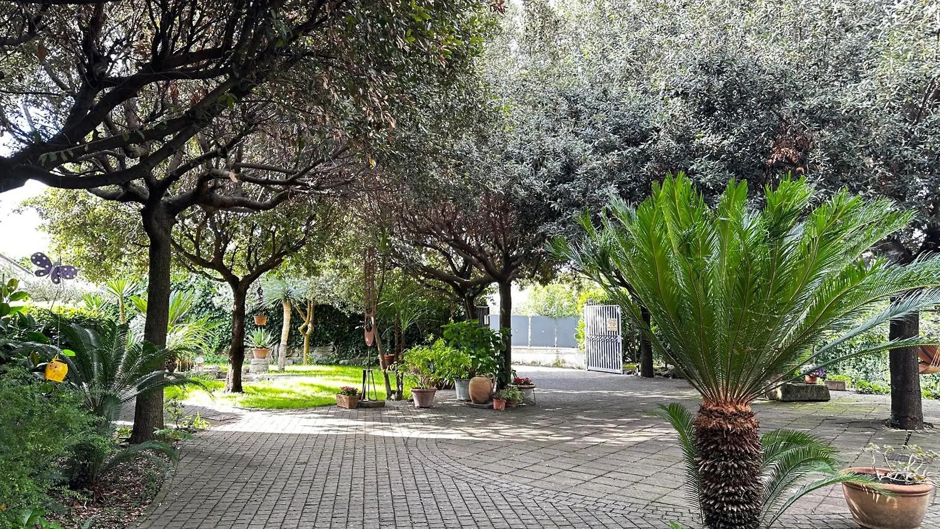 Borgo De' Paolis Apartment Grottaferrata Italy