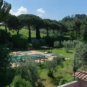 Apartment Frascati, Grottaferrata